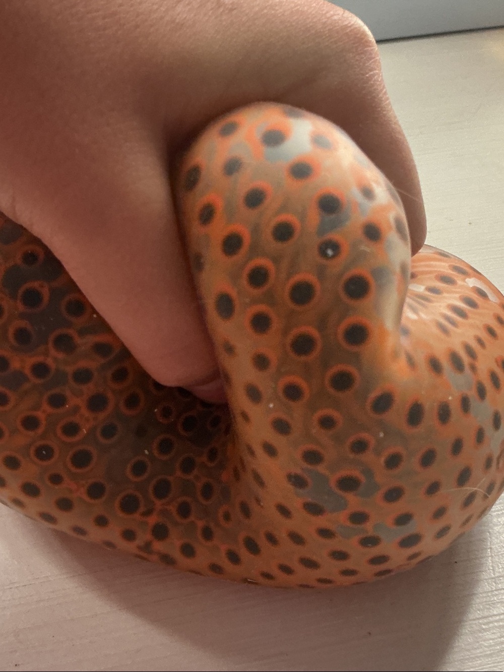 BLACK ORBEE AND ORANGE LIQUID SQUISHY